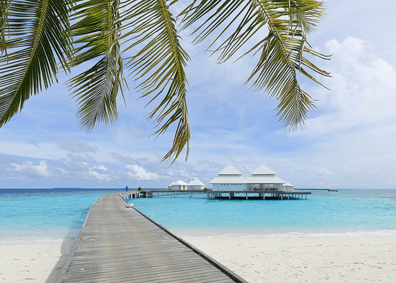 Dream Holiday Trip